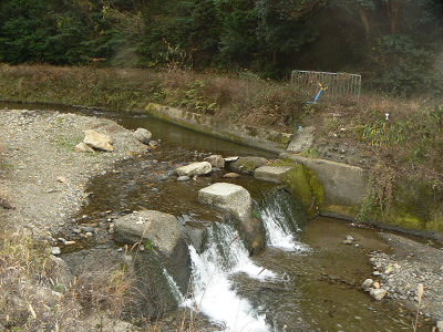 2010/12/18 12:39:30 静原川