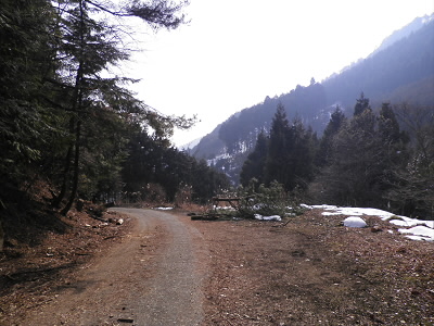 道に雪が全くないところもありました。