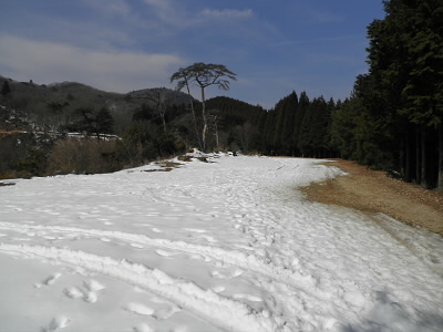 ここまで車でくる予定だったんですけれど、雪が融けて春になったら出直しです。