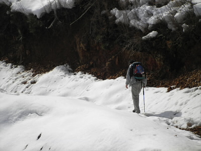 林道は人が最近歩いたような跡はありませんでした。