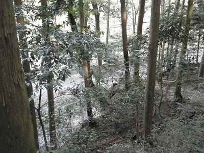 2011/02/19 10:53:32 このあたりから登りました。