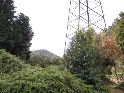 2011/02/19 11:08:01 鉄塔を左に