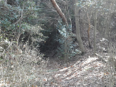 明るい山道から暗い道へ入ります。
この先がユウレイ峠です。いかにも、いかにもという感じです。