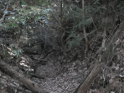 2011/02/19 11:58:26 ユウレイ峠