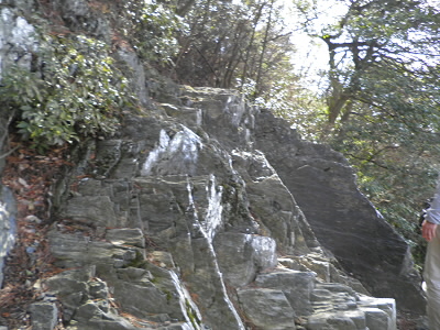 暗い道を行くと、先に岩が見えてきます。それがこのパノラマ岩です。