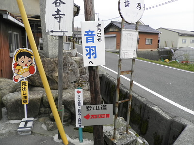 ここから、登山道へ向かいます。