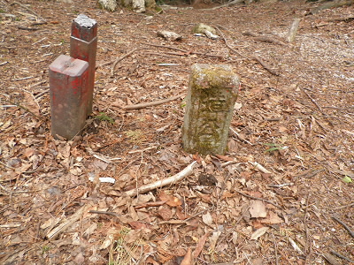 2011/04/30 11:13:07 嘉嶺ヶ岳