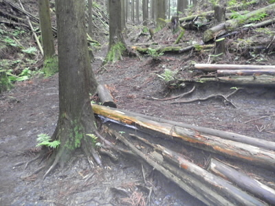 2011/06/04 09:39:51 休憩所かな？