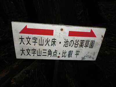 2011/06/04 10:04:51 池の谷地蔵への道