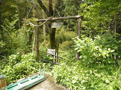 2011/06/04 10:26:20 池の谷地蔵の薬草園