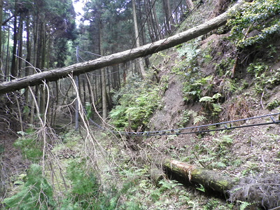 2011/06/04 11:27:39 電線が切れそう