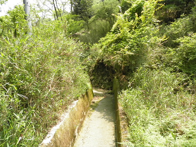 2011/06/04 11:40:05 溝