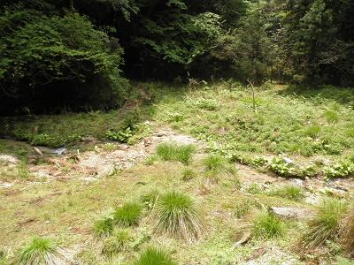 入り口を少し進むと、80m程をジグザグに一気に下ります。だんだんと水の音が大きくなり、水面が見えると底です。