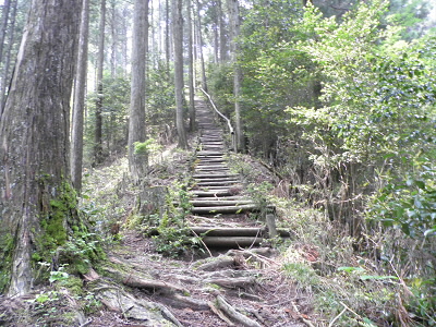 この階段を上ります。
途中、踊り場もなく、段の幅が狭いので、上がるのが大変です。