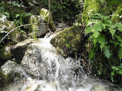 手ごろな滝がありました。
ここで、お昼御飯にしました。