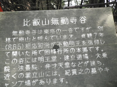 実は入り口なんでしょうが、反対に歩いたようで出口になってします。