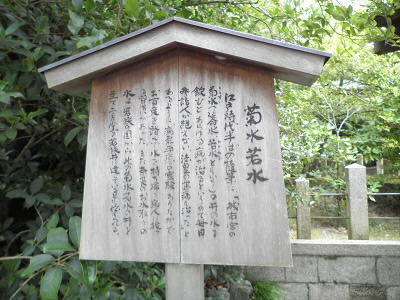 2011/07/03 10:50:28 城南宮の名水
