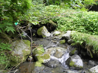 2011/07/12 11:19:38 途中