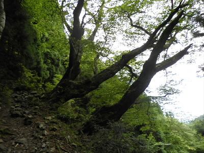 2011/07/12 11:44:29 なんだ？