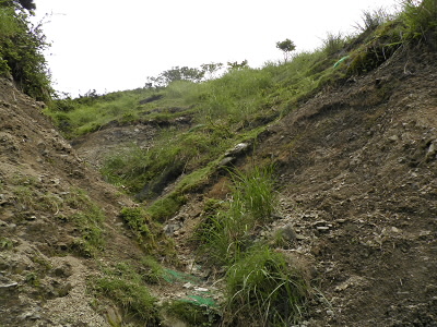 2011/07/12 12:29:51 峠の真下