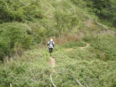 小女郎谷を終わって、峠まではやっと登山道らしくなりました。