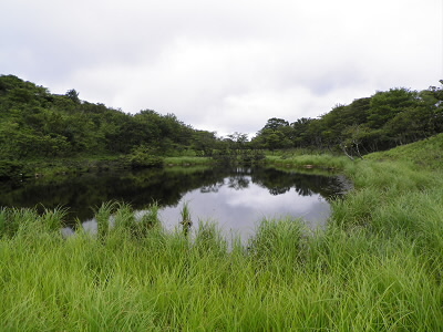 小女郎ヶ池は波がなく、鏡のようでした。