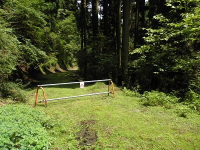 上がってくる林道と出会います。
水の音がしており、冷たい水が流れています。
ここから、林道になるので、木陰が少なくなり、日差しが強くなります。