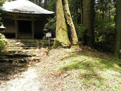 聖徳太子ゆかりの御堂です。