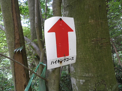 2011/07/30 11:44:28 良く見る道しるべ