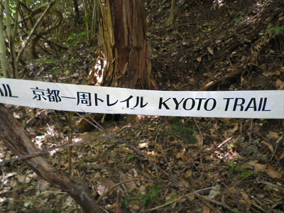 2011/07/30 12:48:52 テープ