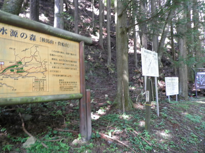 2011/08/07 08:57:42 二ノ瀬ユリへの登り口