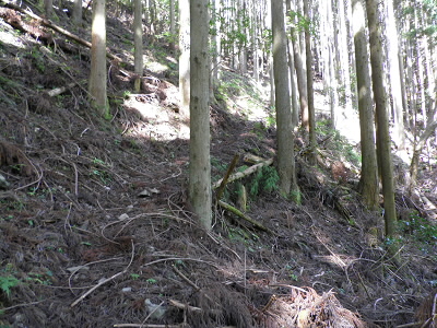 気持、以前より登りやすくなっています。
道に整備をしたのでしょうか？
前は、ほとんど崖みたいでした。