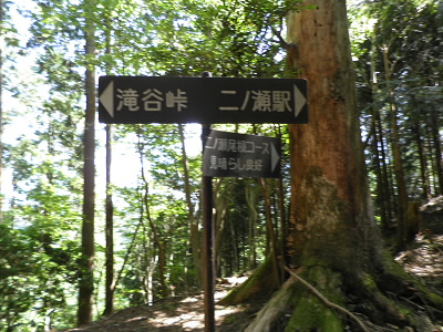 2011/08/07 10:06:08 二ノ瀬尾根コース