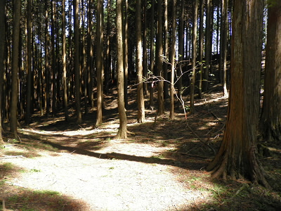 2011/08/07 10:19:58 ザラ谷への分岐