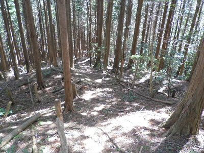 こんな、感じで下りて行きました。