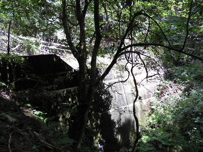 砂防ダムがありました。この少し上で、女性の方々が作業をされていました。