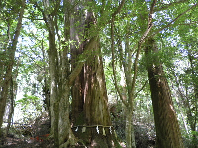 ここへ出てきます。