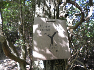 ここで、高塚山と横峰への分岐です。