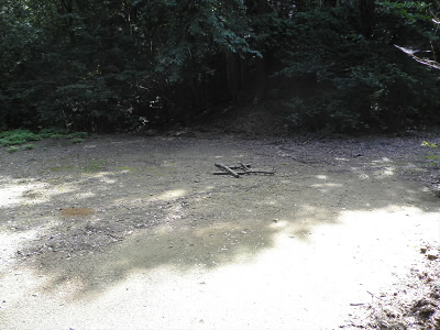 山道を上に外れたところに開けた広場があります。結構広いので、大きなグループでも使用できそうです。
ここから、ゴルフの道までもう少しです。