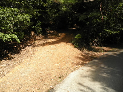 ここへ出てきます。横峰からはここから入ります。道標があります。