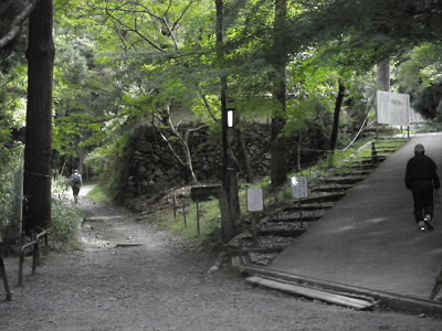 右に上がれば女人堂から上醍醐。左に上がれば横峰へ行きます。
本日も左の道を取ります。
ちなみに、女人堂から上醍醐は「醍醐の花見」で有名な道です。