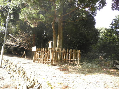 いわれは、調べていません。
ここまでの坂がきつかった。