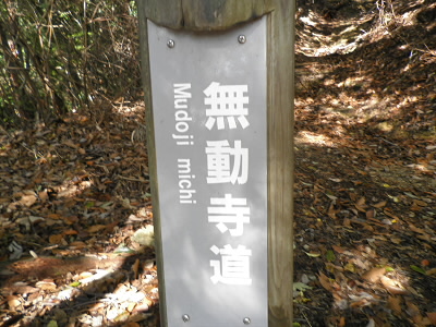 2011/11/12 10:06:27 無動寺道