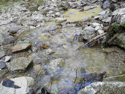 2011/11/12 10:15:18 かわ