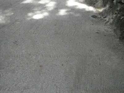 2011/11/12 10:23:23 砂の道