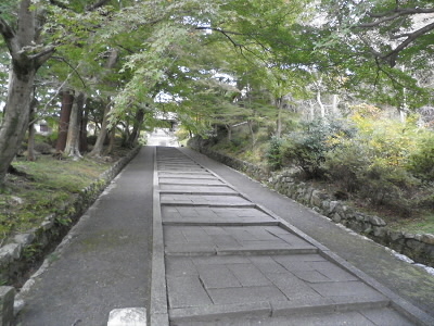 「京都へ行こう」ではきれいな紅葉の写真ですが、今は紅葉はまだまだ先です。
