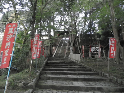 こちらも紅葉はまだです。