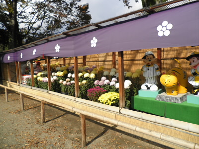 吉祥院で菊の展示がありました。虎の像ですが、十二支全部いました。