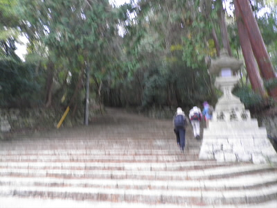 2011/11/23 10:13:39 石段