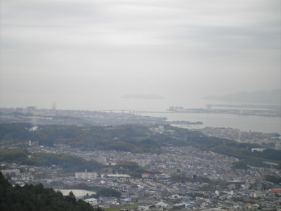 もうこんなに登っています。